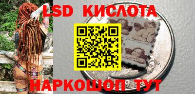 гидропоника Пенза