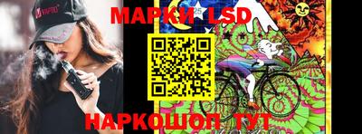 гидропоника Пенза
