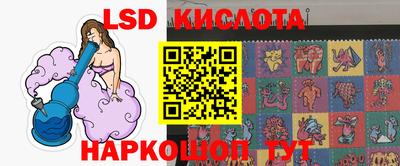гидропоника Пенза