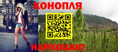 гидропоника Пенза