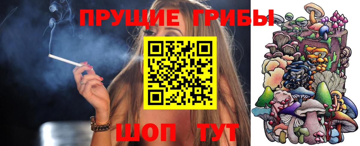 Псилоцибиновые грибы GOLDEN TEACHER Орехово-Зуево